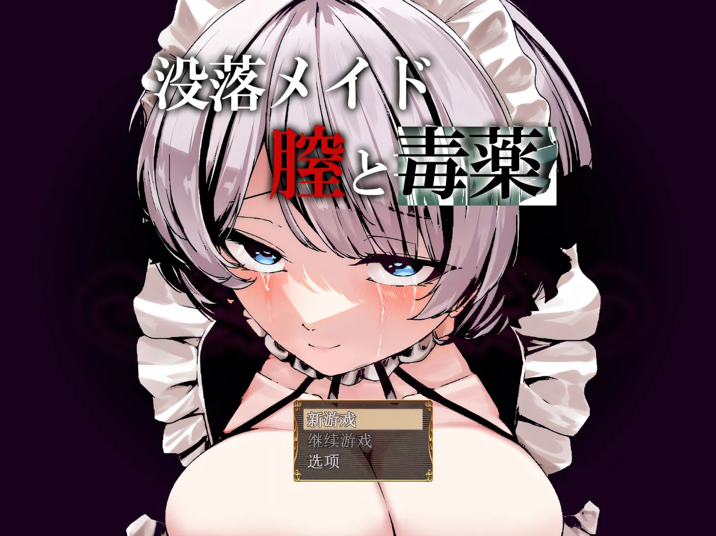堕落的女仆：阴道与毒药 Ver1.0 云翻汉化版 [新作/1.3G]